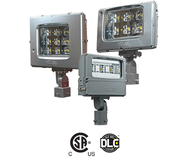 The ACP LED family offers three LED floodlight models - ACP0, ACP1, and ACP2.