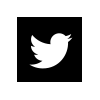 social-btn-twitter1