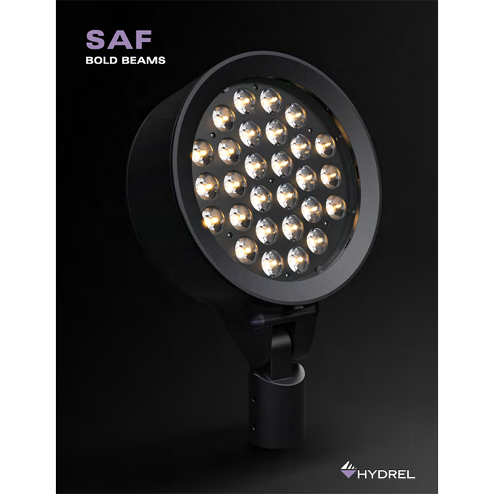 SAF Brochure Cover700x700