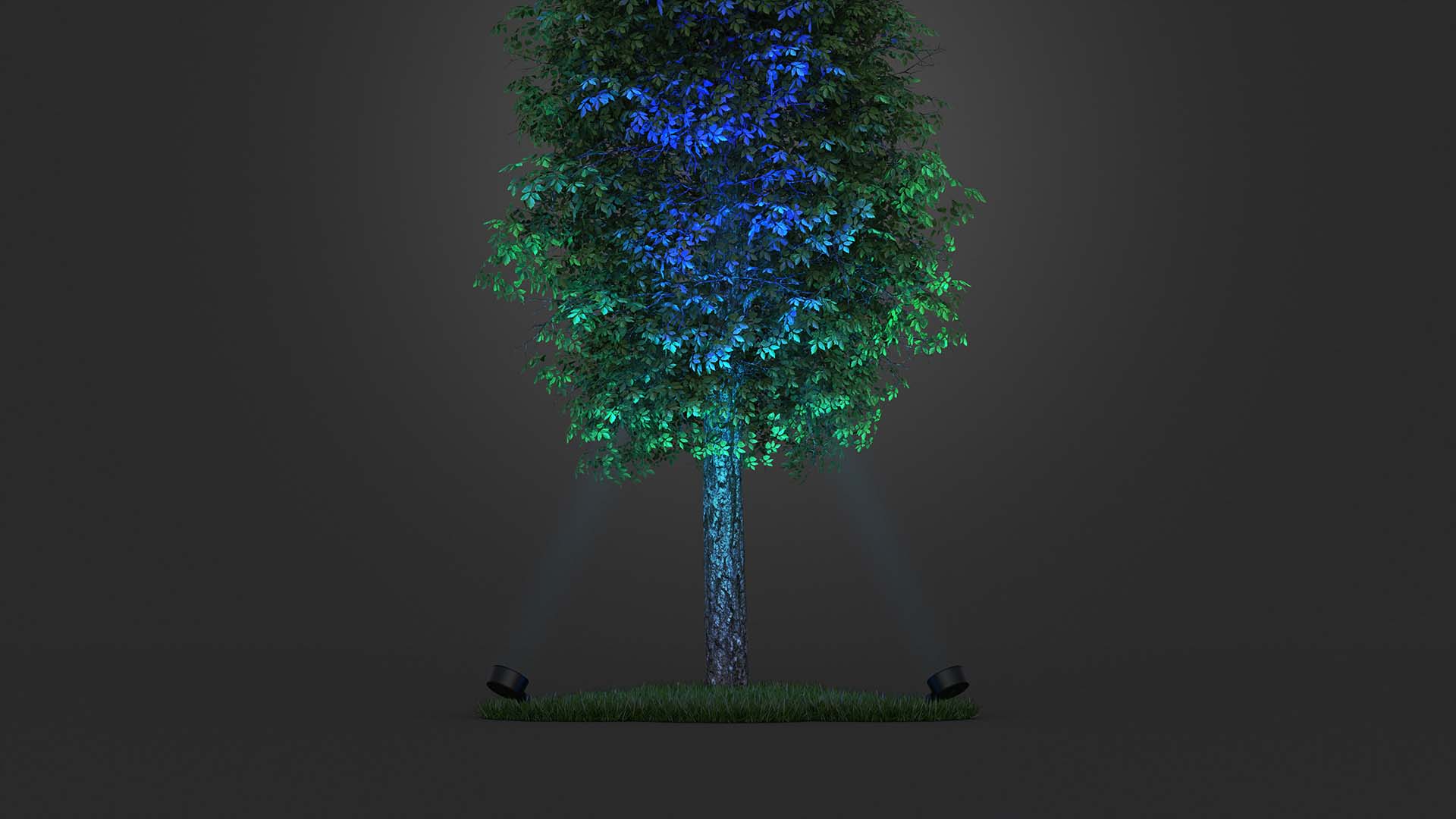 Tree lighting with SAF7 RGBW Narrow Flame showing accent gradient lighting effect in blue and green.
