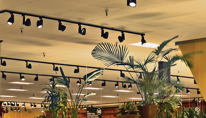 Juno track lighting fixtures on mall ceiling.