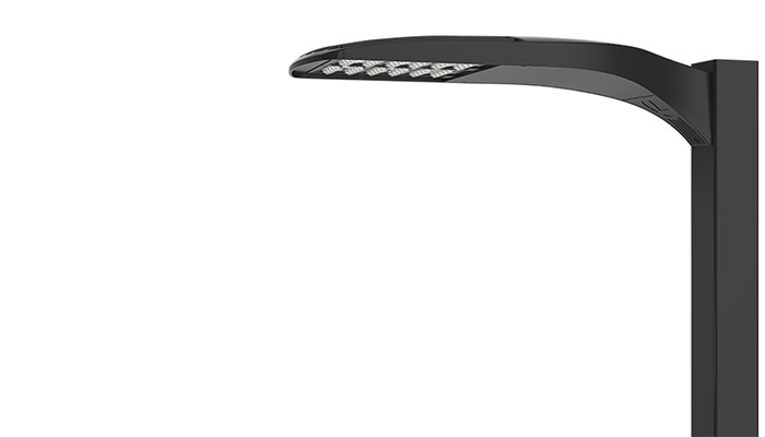 DSX1