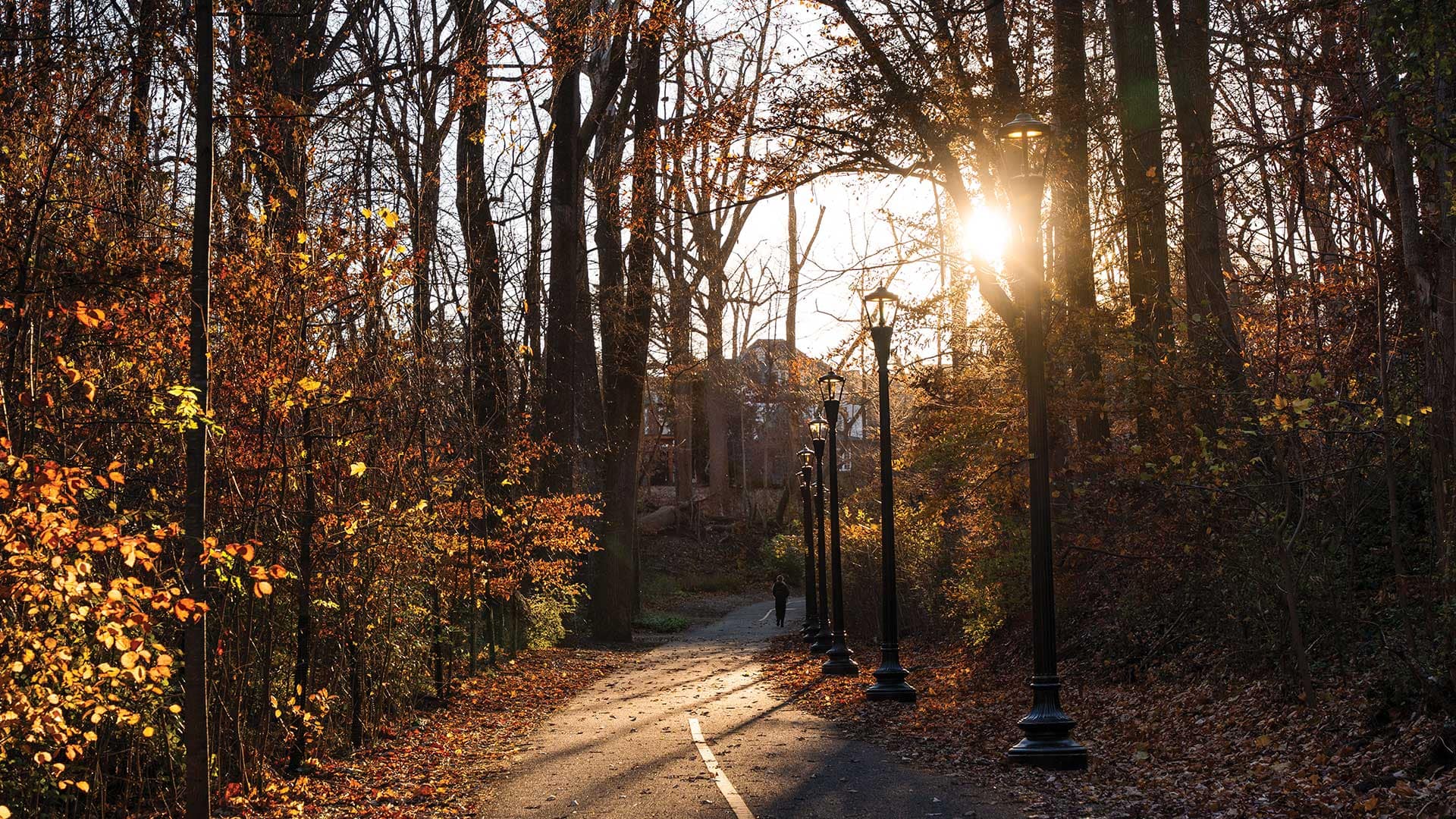 photo-gallery-outdoor-dc-street-light-project-01