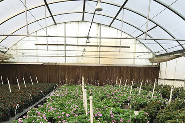 Arize-Greenhouse-Pro-image